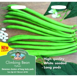 Mr Fothergill's Python Climbing French Bean Seeds