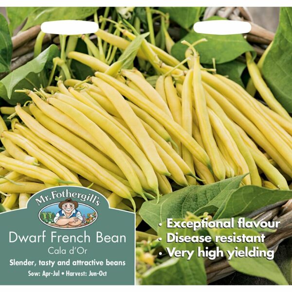 Mr Fothergill's Cala D'Or Dwarf French Bean Seeds