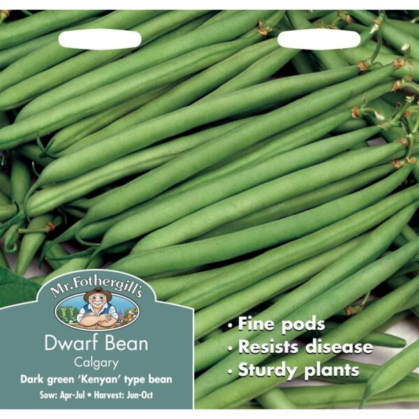 Mr Fothergill's Calgary Dwarf French Bean Seeds