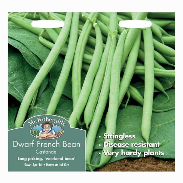 Mr Fothergill's Dwarf French Bean Castandel Seeds