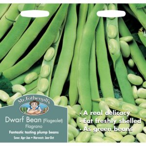 Mr Fothergill's Flagrano Dwarf French Bean (Flageolet) Seeds