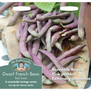 Mr Fothergill's Red Swan Dwarf French Bean Seeds