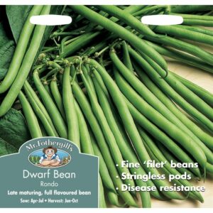 Mr Fothergill's Rondo Dwarf French Bean Seeds
