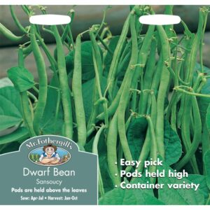 Mr Fothergill's Sansoucy Dwarf French Bean Seeds