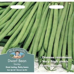 Mr Fothergill's Stanley Dwarf French Bean Seeds
