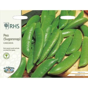 Mr Fothergill's RHS Cascadia Sugarsnap Pea Seeds
