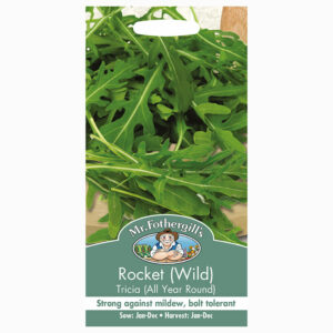 Mr Fothergill's Rocket Wild Tricia (All Year Round) Seeds