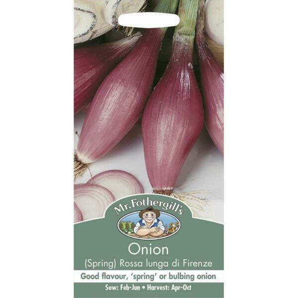Mr Fothergill's Rossa Lunga Di Firenze Spring Onion Seeds