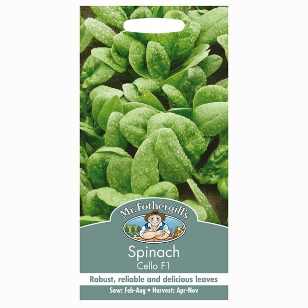 Mr Fothergill's Spinach Cello F1 Seeds