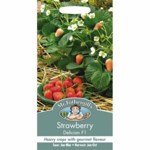 Mr Fothergill's Delician F1 Strawberry Seeds
