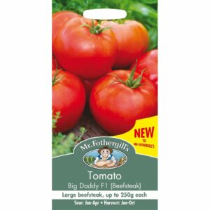 Mr Fothergill's Big Daddy F1 Beefsteak Tomato Seeds