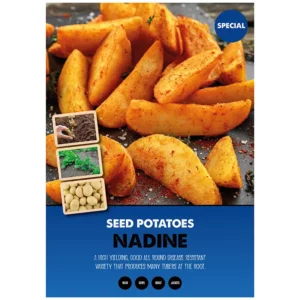Nadine Second Early Seed Potatoes 2kg