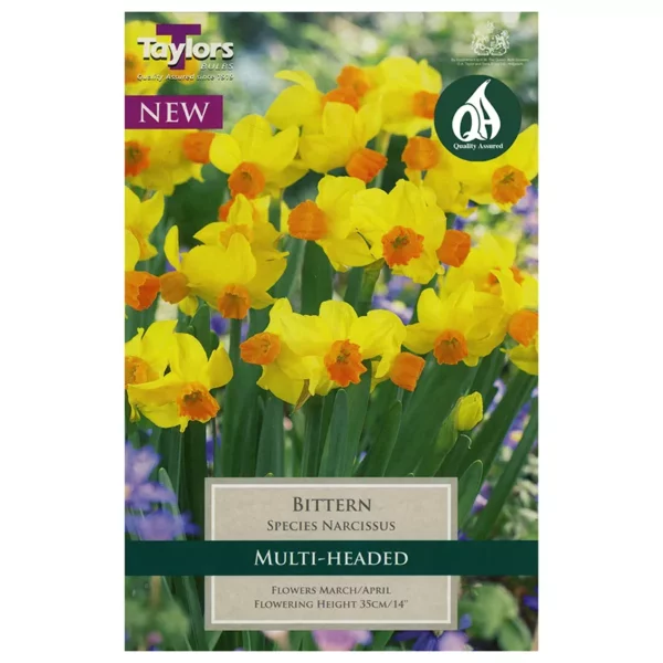 Narcissus 'Bittern' Daffodils (7 bulbs)