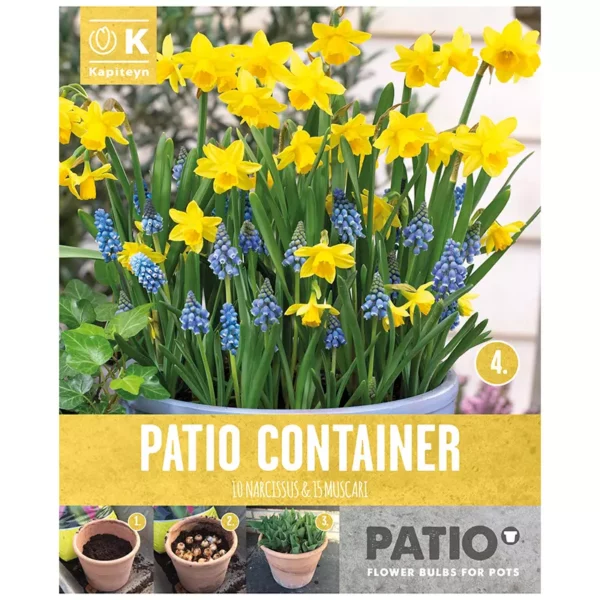 Narcissus & Muscari Patio Container Collection 'Yellow & Blue' (20 bulbs)