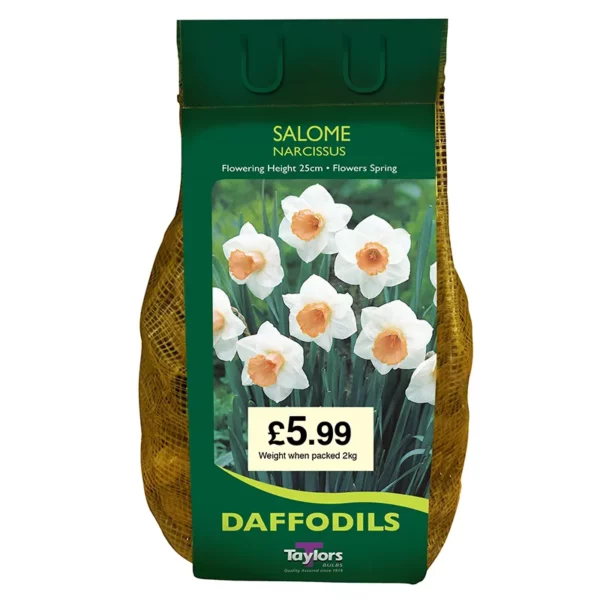 Narcissus 'Salome' Daffodils (2kg Carri-Pack)