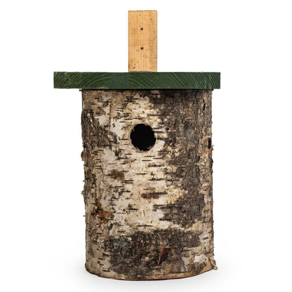 National Trust Birch Log Nest Box 32mm Hole