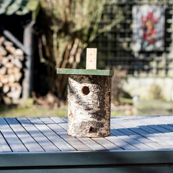National Trust Birch Log Nest Box 32mm Hole in garden