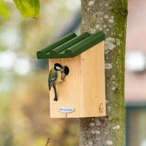 National Trust Great Tit Nest Box 32mm Gift Set in use