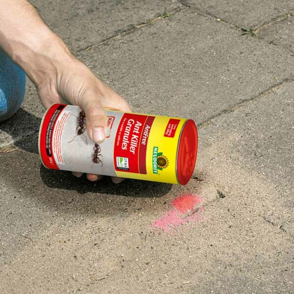 A hand pouring Neudorff Ant Killer Granules into a site of patio ant damage residue.