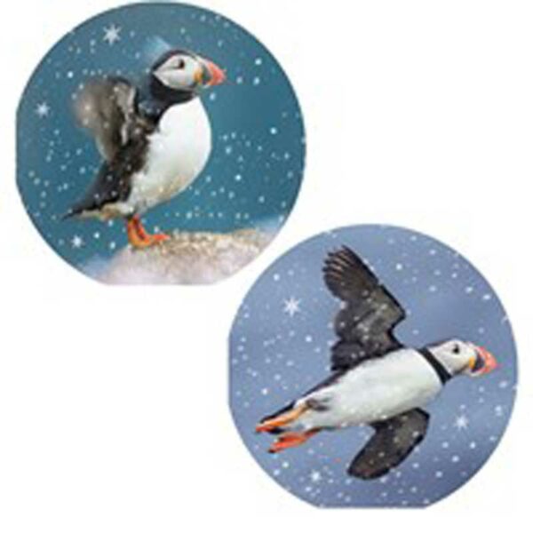 RSPB Luxury Circular Christmas Cards - Puffin & Snowflakes (Pack of 10)
