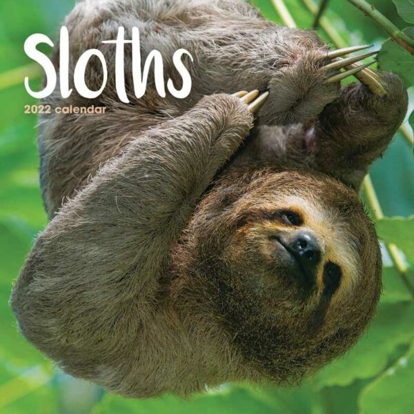 Otter House Sloths Mini Wall Calendar 2022