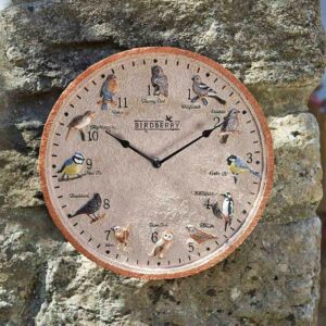 The Outside In 12-Inch Birdberry Wall Clock in situ outdoors