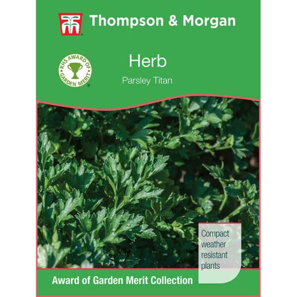 Parsley Titan Herb Seeds