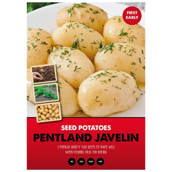 Pentland Javelin First Early Seed Potatoes 2kg