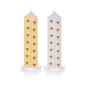 Premier Robin Advent Candle (Assorted Designs)