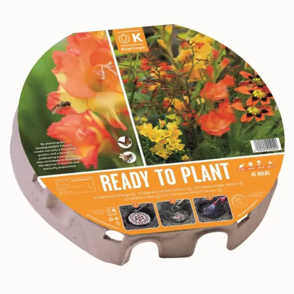 Ready to Plant Plant-O-Mat 'Wild Blooms' 38cm/15" (45 bulbs)