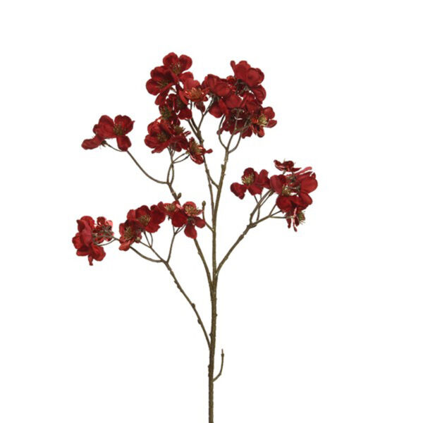 Everlands Red Velvet Dogwood Stem (78cm)