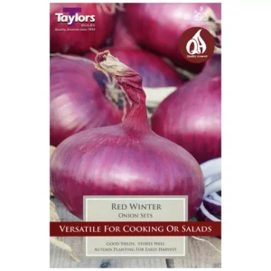 'Red Winter' Onion Sets (50 bulbs)