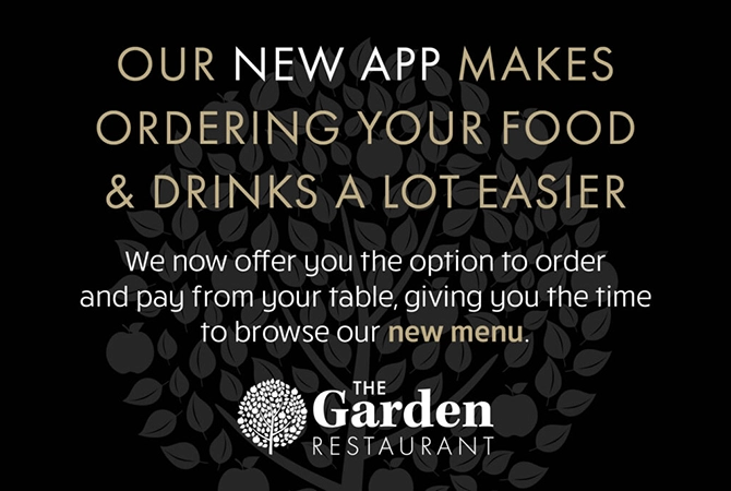 Restaurant App Launch Split Web Banner