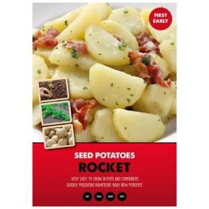 Rocket First Early Seed Potatoes