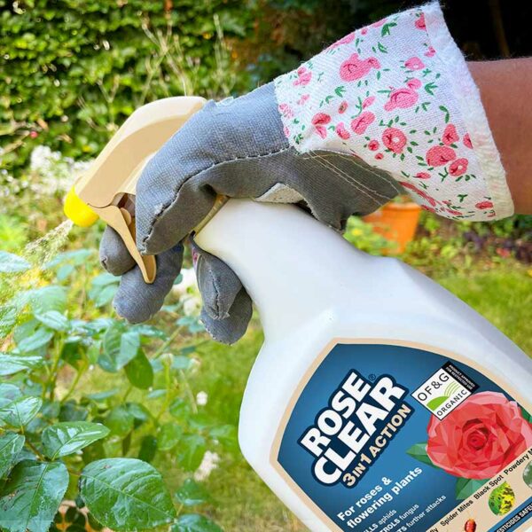 RoseClear 3 in 1 RTU Insecticide & Fungicide Lifestyle 4