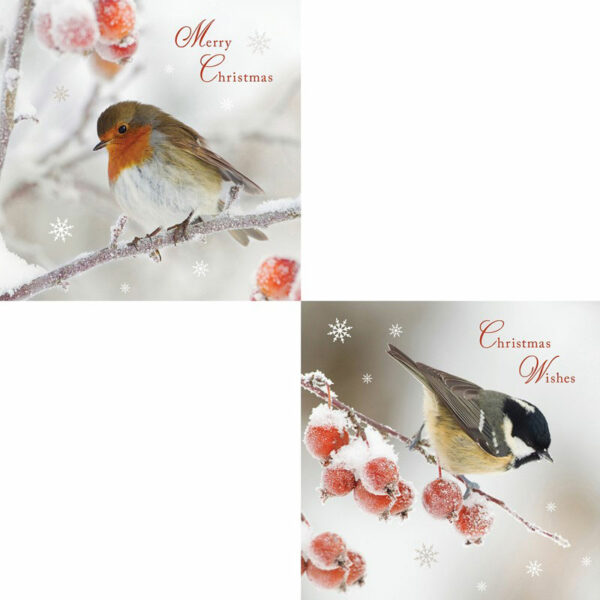 RSPB Luxury Christmas Cards - Frosty Perch (Pack of 10)