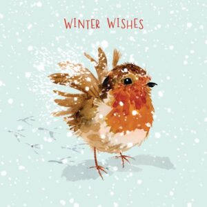 RSPB Small Square Christmas Cards - Robin Flutter (Pack of 10)