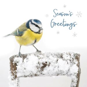 RSPB Small Square Christmas Cards - Season's Greetings (Pack of 10)
