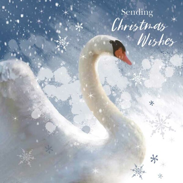 RSPB Small Square Christmas Cards - Sparkle Swan (Pack of 10)