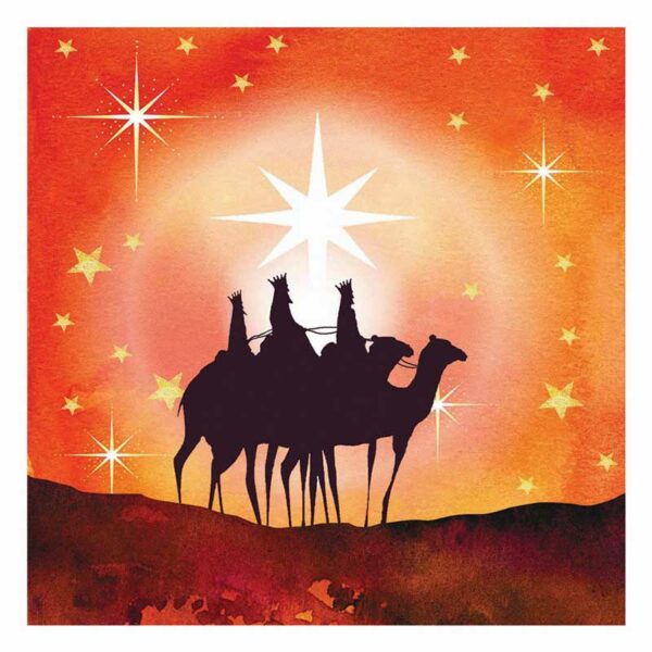 RSPB Small Square Christmas Cards - Star of Wonder (Pack of 10)