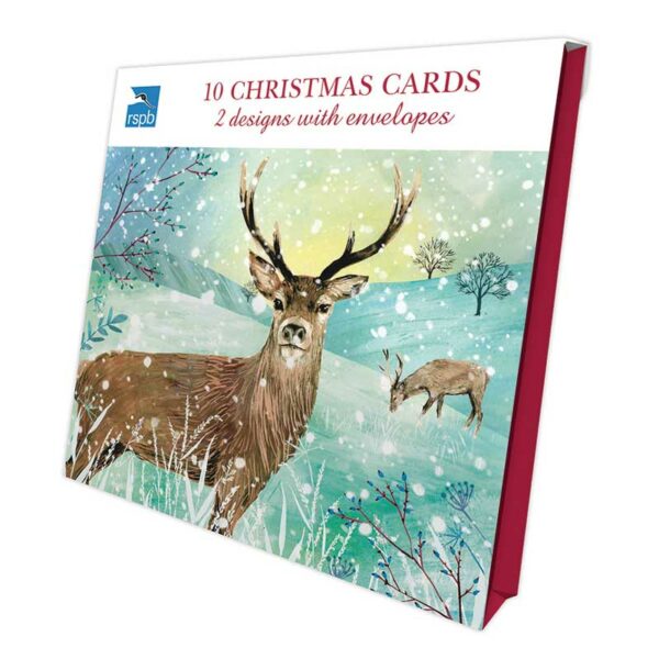 RSPB Luxury Christmas Cards - Winter Fields (Pack of 10)