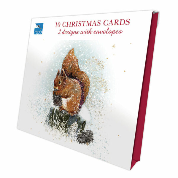 RSPB Luxury Christmas Cards - Winter Wonder (Pack of 10)