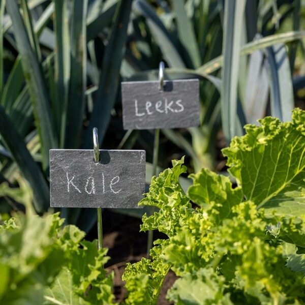Two, slate, rectangular plant markers hanging from 2 metal pegs. One says 'Kale, the other says 'Leeks'. They are both infront of the respective growing crop.