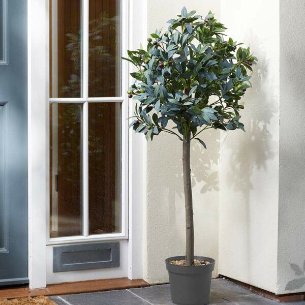 The Smart Garden 120cm Artificial Topiary Olive Tree in situ