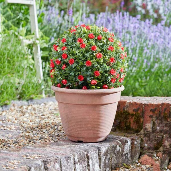 The Smart Garden 30cm Artificial Topiary Red Rose Ball in situ on ground