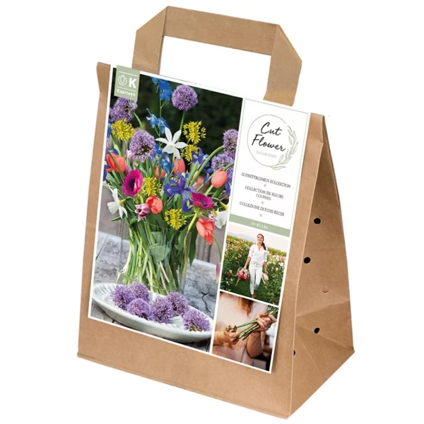 Spring Mix Cut Flowers Collection (40 bulbs)