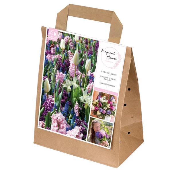 Spring Mix Fragrant Flowers Collection (35 bulbs)