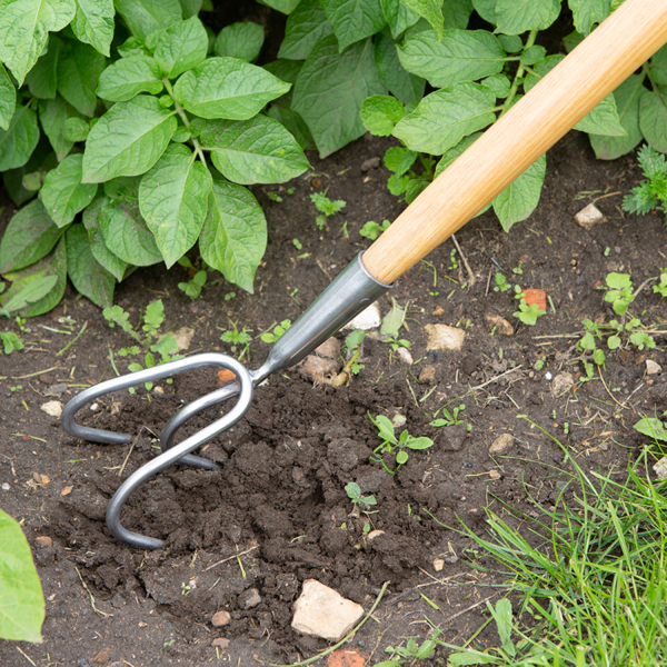 Break down soil with the Wilkinson Sword Stainless Steel 3 Prong Cultivator