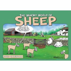 Otter House The Wacky World Of Sheep A4 Calendar 2022