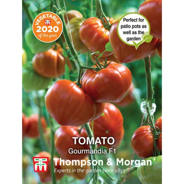 Tomato Gourmand Seeds